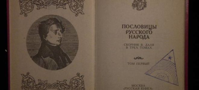 Ученье – свет, а неученье – тьма: смысл пословицы, рассказ